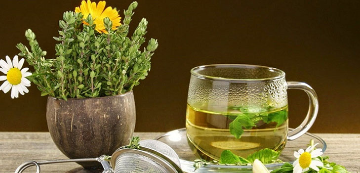 Fitoalquemia: hierbas para la belleza y la salud