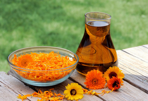 Fitoalquemia: hierbas para la belleza y la salud