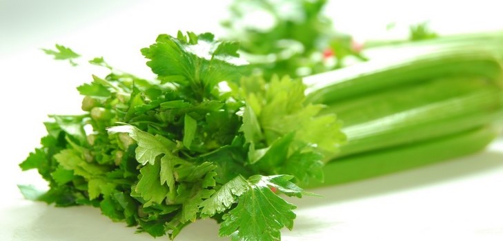 comentarios sobre una dieta efectiva para bajar de peso