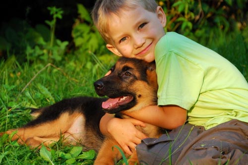 ¿Qué enfermedades de perros son peligrosas para los humanos?