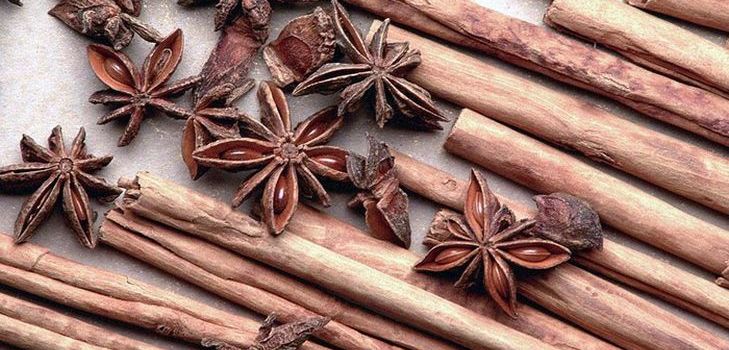 Las propiedades curativas de la canela