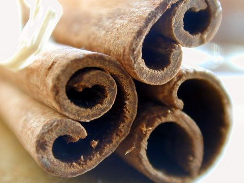 Las propiedades curativas de la canela