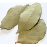 Tratamiento con laurel Tratamiento con laurel