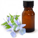 Aceite de pachulí y sus propiedades beneficiosas Aceite de pachulí y sus propiedades beneficiosas