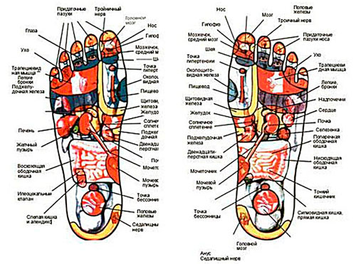 Masaje en los pies: revitalizamos el cuerpo