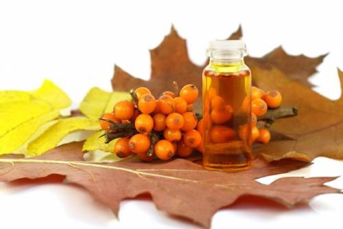 Farmacia nacional: cómo hacer aceite de espino amarillo