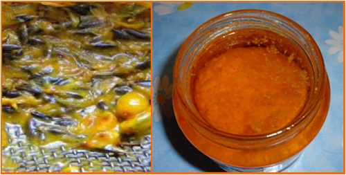 Farmacia nacional: cómo hacer aceite de espino amarillo