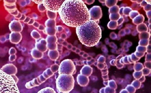 Preparaciones de origen bacteriano