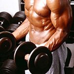 Nutrición adecuada para el crecimiento muscular