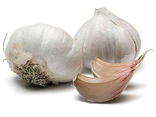Fondos de vasodilatadores