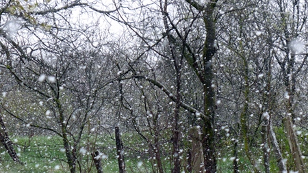 Spring depression: combatiendo activamente el malestar de marzo