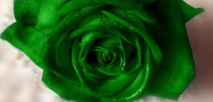 Secreción verde en mujeres: las razones de la aparición